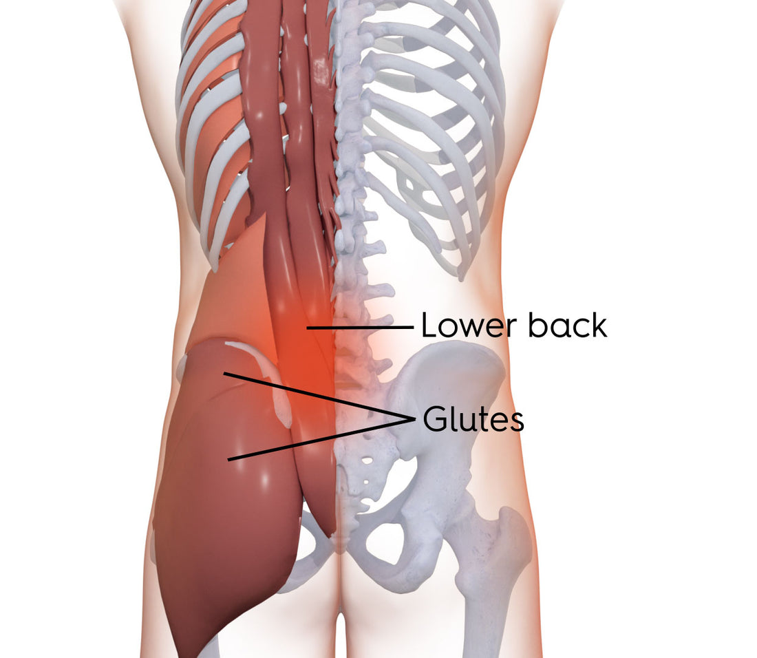 Motive Lower Back – Motive Health
