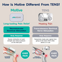 
                  
                    Motive Knee - Motive Health
                  
                