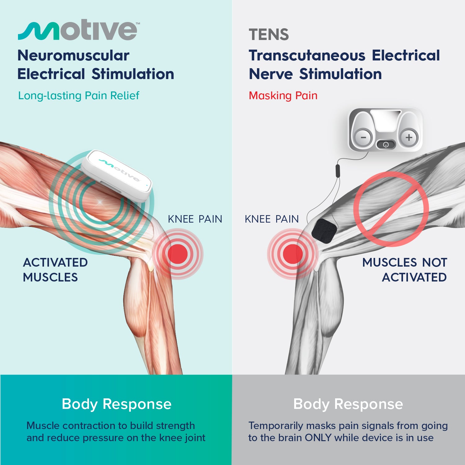 Supports Better Mobility, Every Day